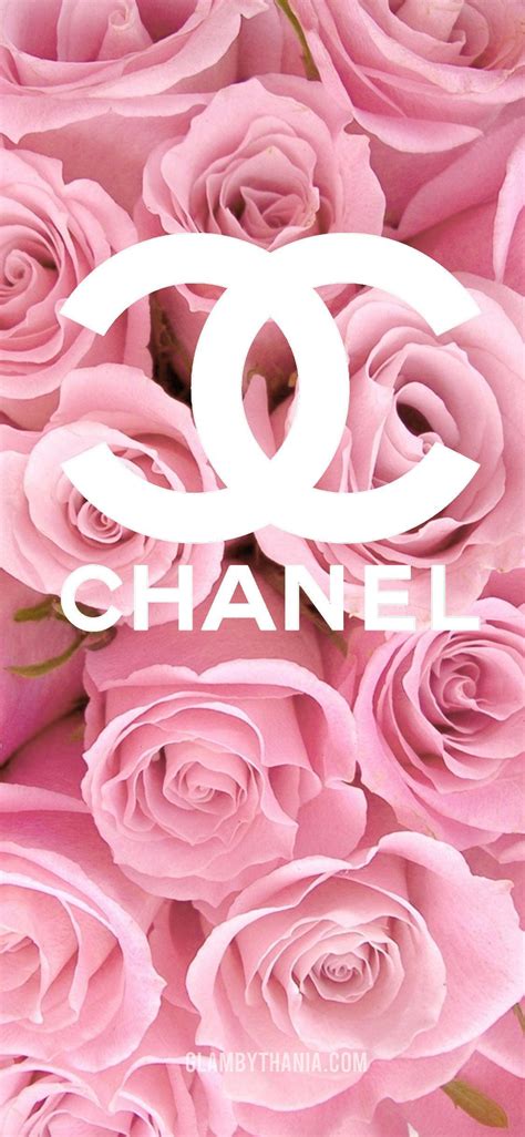 chanel desktop backgrounds|pink chanel desktop wallpaper.